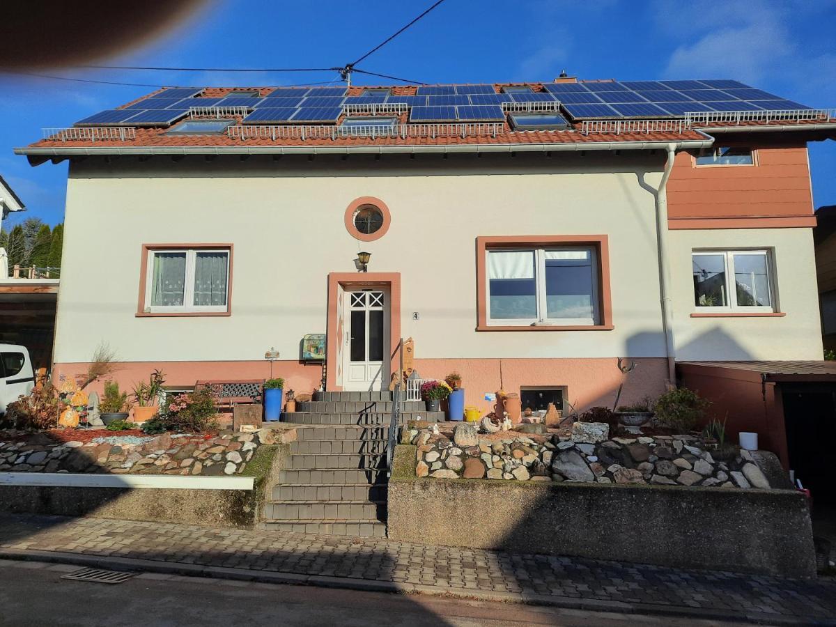 Ferienwohnung Friedel Und Kaethe Oberthal Eksteriør billede